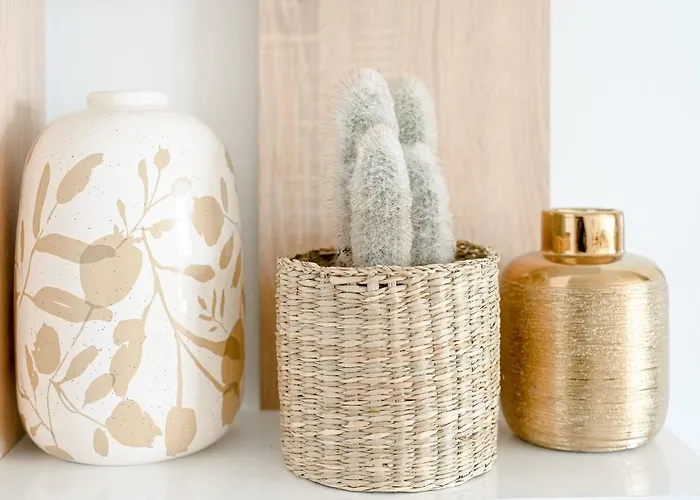 Seashell Infinity Luxury 埃斯特波纳