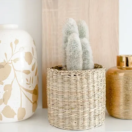 Seashell Infinity Luxury Estepona